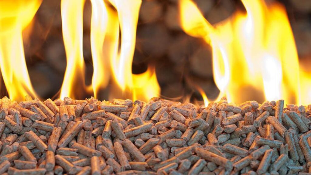 Europe Biomass Pellets Market