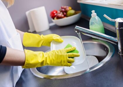 Dishwashing Additives Market