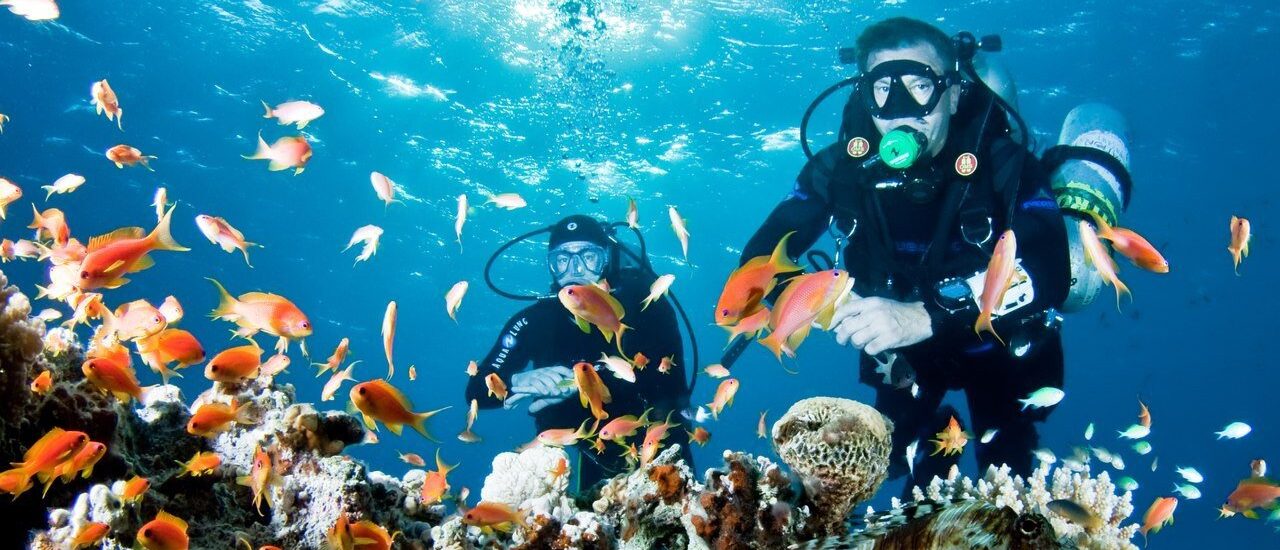 Diving Tourism Market