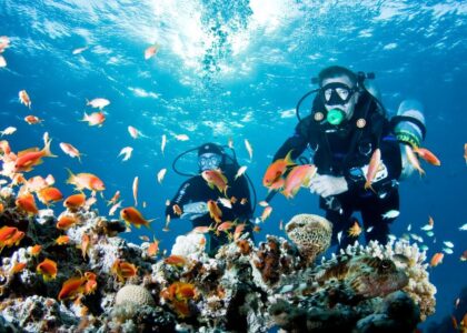 Diving Tourism Market