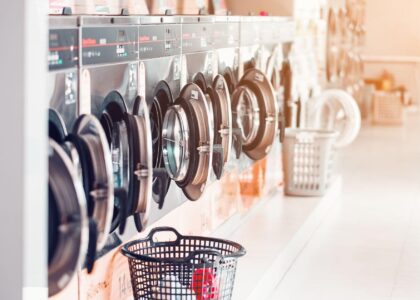 Online Laundry Services Market