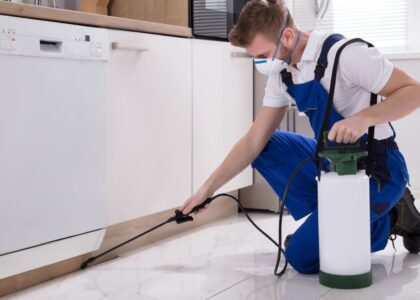 Pest Control Service Market