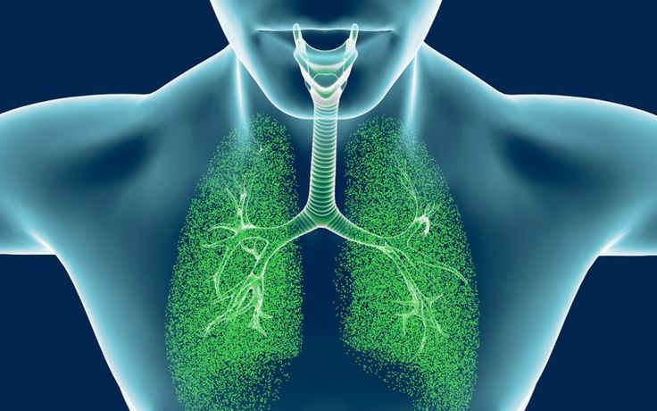 Respiratory Analysers Market