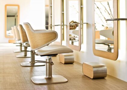 Salon Chairs Market