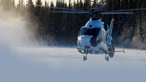 Civil Helicopter MRO Market